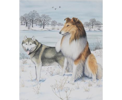 Peter Barrett (British, B. 1935) "Alaskan Malamute and Collie" Signed lower left. Original Watercolor painting on Illustratio