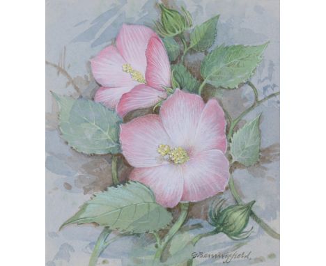 Gordon Beningfield (British, 1936 - 1998) "Rose Mallow" Signed lower right. Original Water Color painting on Cold Press Illus