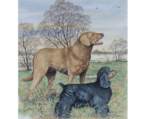 Peter Barrett (British, B. 1935) "Chesapeake Bay Retriever and Cocker Spaniel" Signed lower left. Original Watercolor paintin