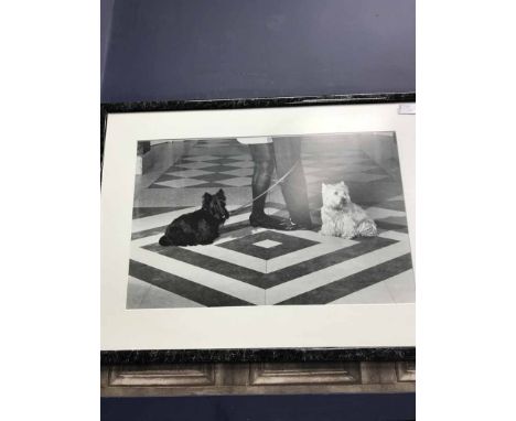 THREE PHOTOGRAPHIC PRINTS Kip Holm's Four Scotties at the window; Peter Thomann's Black Cat and a print of two Scotties 