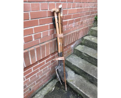 Various gardening tools etc.