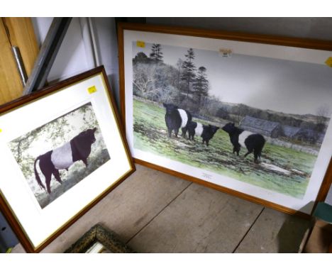 Signed print "Miss Flora's Belties" picture of cows, 64 cm x 47 cm, and smaller bull picture 