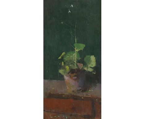 ▲ Fred Cuming RA (1930-2022) A potted geraniumsigned 'Cuming' l.l., oil on board35 x 17cmCondition ReportFramed: 42.5 x 25cmT