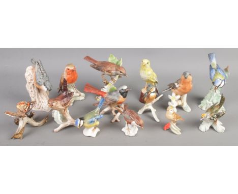 A quantity of Goebel bird figures and one butterfly example.  