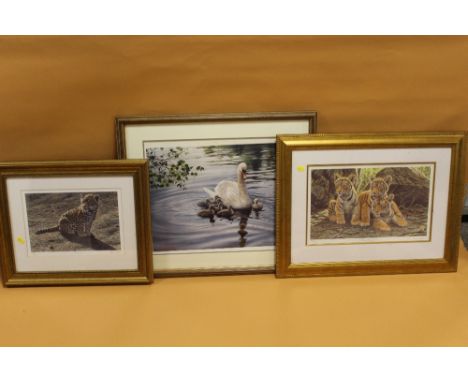 A SIGNED LIMITED EDITION YVONNE HUGHES PRINT OF A SWAN WITH CYGNETS TOGETHER WITH TWO LIMITED EDITION STEPHEN GAYFORD PRINTS