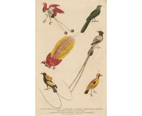 Martyn (William Frederic). A New Dictionary of Natural History; or, Compleat Universal Display of Animated Nature, with accur
