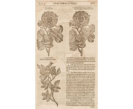 Gerard (John). [The Herball or Generall Historie of Plantes gathered by John Gerarde of London Master in Chirvrgerie; very mu