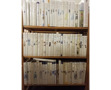 Ornithology. A collection of T. &amp; A. D. Poyser published ornithology &amp; natural history books, including Flamingos, by