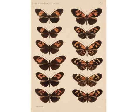 * Natural History. A Collection of approximately 120 prints, late 19th &amp; early 20th century, lithographs and photolithogr