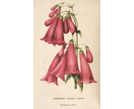Harrison (Joseph). The Floricultural Cabinet and Florists's Magazine, volumes XIV-XVI, London: Whittaker and Co., 1846-1848, 