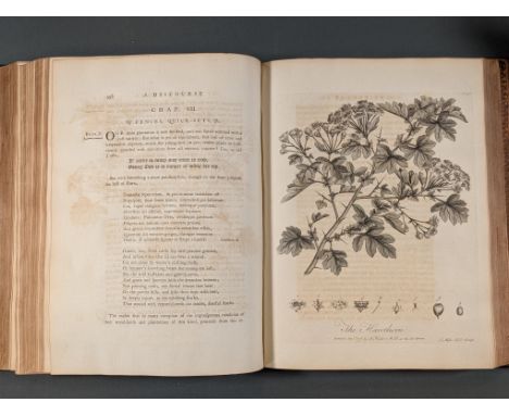 Evelyn (John). Silva: or, a Discourse of Forest-Trees and the Propagation of Timber in His Majesty's Dominions: as it was del