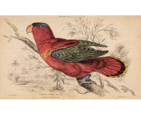 Selby (Prideaux J.). The Naturalist's Library, Ornithology, Parrots, volume 10 only, Edinburgh: 1836, 10 engraved plates, tog