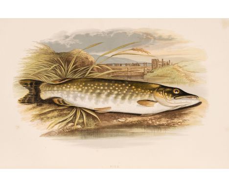 Houghton (William). British Fresh-Water Fishes, 2 volumes, London: William Mackenzie, 1879, titles printed in red and black, 