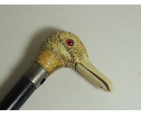 A late 19th Century novelty walking stick with ivory handle well carved in the form of a ducks head with red glass eyes and h