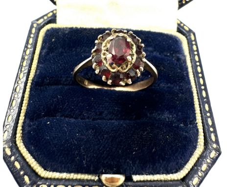 9ct Gold Garnet Ring (2.4g)