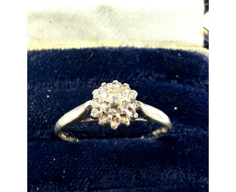 9ct White Gold Diamond Cluster Ring (1.1g)