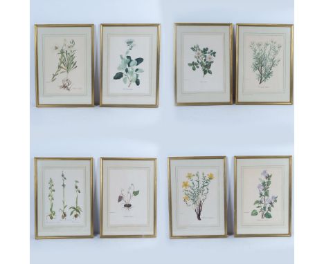 This set includes eight framed color prints on paper after Greek philanthropist and artist Niki A. Goulandris's illustrations