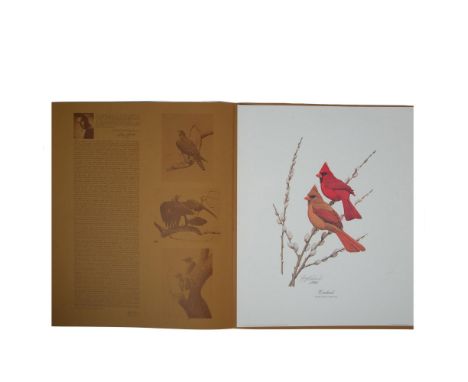 Title: Cardinal. High-quality lithograph print on paper featuring a male and female cardinal pair perched on a pussywillow br