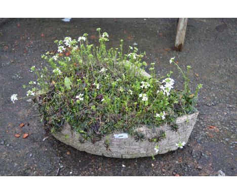 Concrete corner planter with contents