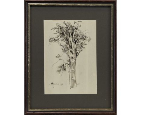 * WILLIAM CROSBIE RSA (SCOTTISH 1915 - 1999), TREE SKETCH pen and ink on paper, signed 18cm x 12cm Mounted, framed and under 