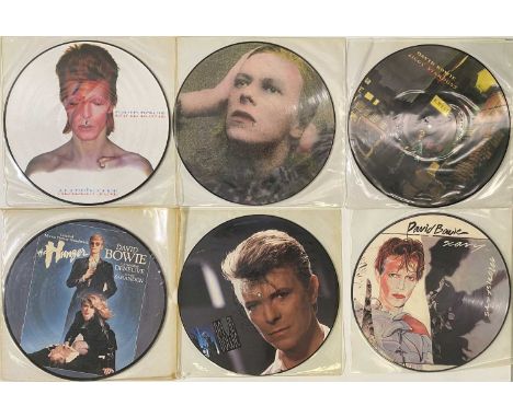 DAVID BOWIE - PICTURE DISK COLLECTION. Lovely pack of 14 x picture disks mainly comprising of private releases. Titles includ