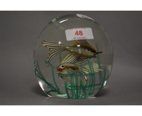 A fantastic mid century Murano Fratelli Toso art glass paper weight lamp worked to depict two tropical fish in aquarium. 12cm