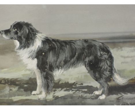 A pair of watercolours, R Ward Binks, Collie dog studies, Matt and Laddie, signed and one dated 1926, each 10'x13'