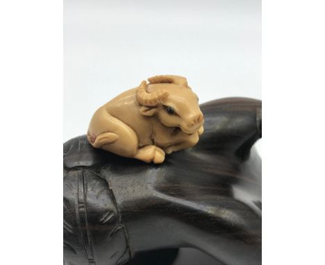 A Japanese hand carved Tagua nut netsuke figure of an Ox laying down. Detailed with black bead eyes and signed by the artist.