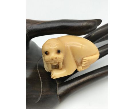 A Japanese carved tagua nut netsuke of a Walrus. Signed by the artist. Detailed with black bead eyes. 
