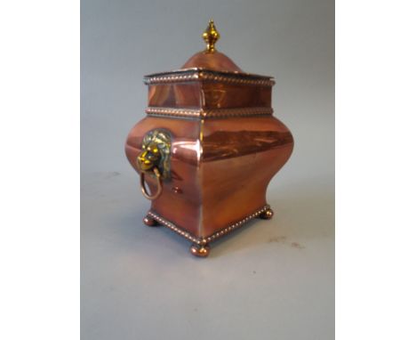 A Sheffield Plate Small Tea Caddy (All Silver Rubbed) with Lion Mask Handles and Bun Feet. 14cm High