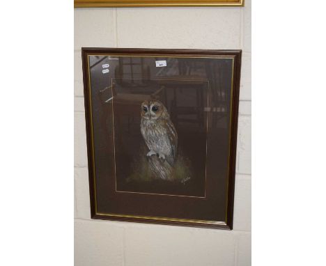 Study of an owl, R Fletcher, pastel on paper, framed