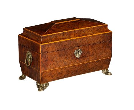 A  George IV thuya wood tea caddyInlaid with sycamore lines, the caddy shaped lid above shaped sides with brass ring carrying