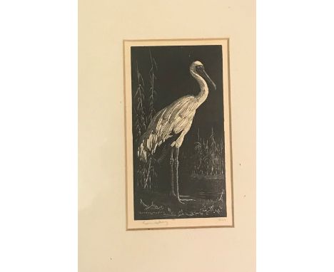 A box of assorted pictures, prints etc to include 18TH CENTURY ENGLISH SCHOOL "Dodo" hand coloured engraving, published Septe