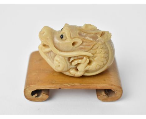 A hand carved resin okimono of the Chinese zodiac dragon, based on an original ivory netsuke, the dragon curved on himself wi