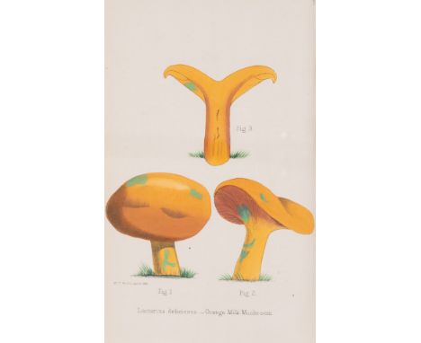 Funguses.- Hogg (Robert) &amp; George W. Johnson, editors. A Selection of the eatable funguses of Great Britain, 24 hand-colo