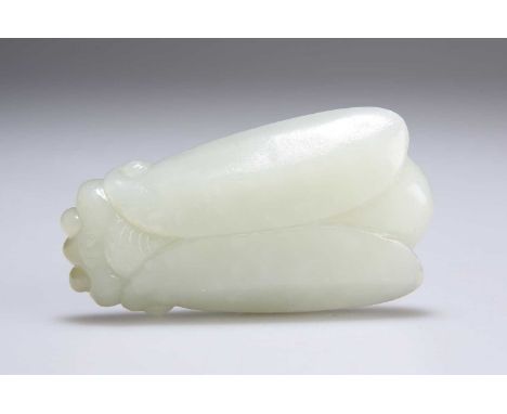 A CHINESE JADE CARVING  depicting a cicada. 7.5cm long