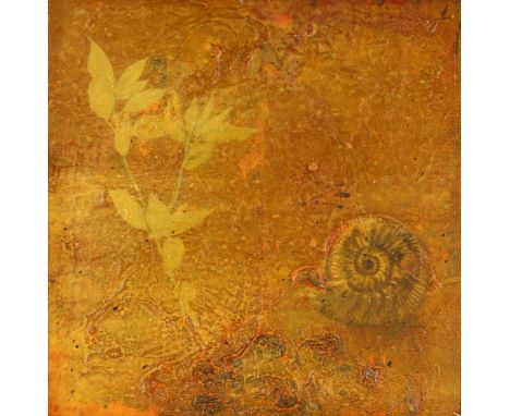 Alan Rankle, oil on panel, ammonite study 1999, 30cm x 30cm, framed 