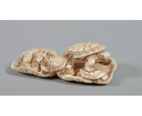 A Meiji period ivory netsuke in the form of turtles and a rat on two lily pads, inscribed in red ink to base, 2.5"w. 