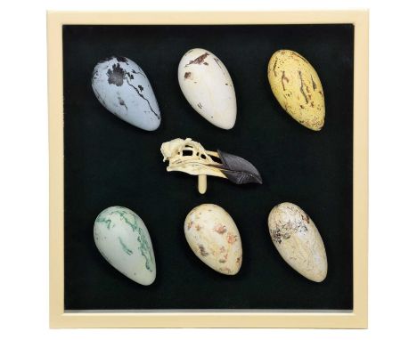 Natural History: A Collection of Replica Great Auk Eggs & Skull, modern, a group of six various hand painted replica Great Au