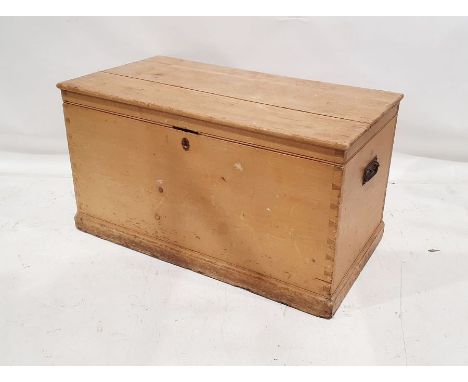 Pine trunk