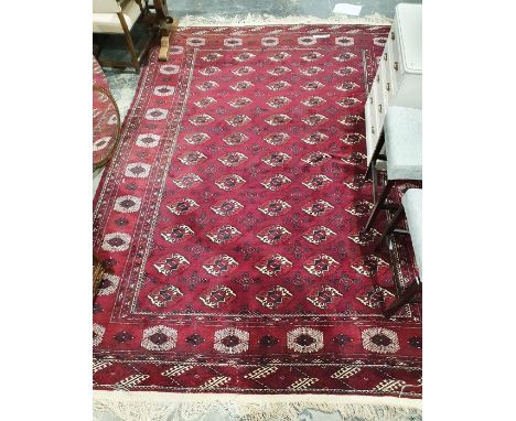 Large eastern style red ground carpet with five rows of twelve elephant foot gulls with multiple geometric borders 370cm x 26