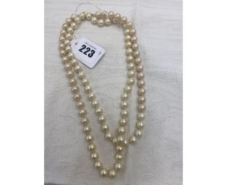 A Pearl necklace on and 18ct Gold clasp
