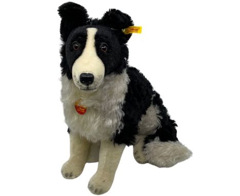 Steiff Hasso Border Collie Seated dog tag 031694 14&rdquo; with chest paper label and ear tag. (1)