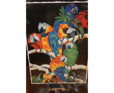 Large Parot print by Barbra Wallace 