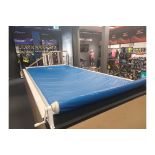 *NO RESERVE* Endless Performance Indoor Swimming Pool