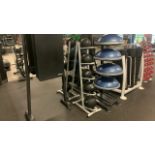 *NO RESERVE* Exercise Balls and Rack