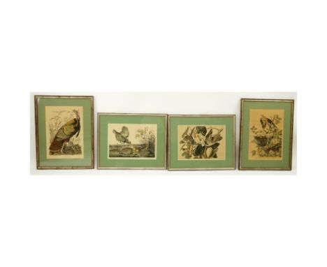 Four (4) Vintage Audubon Prints. Circa 1930s-40s. Includes Pinnated Grous, Blackbilled Cuckoo, Carolina Turtle Dove, Great Am