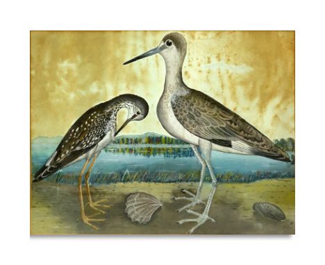 Vintage American School Watercolor On Paper "Two Sea Birds". Framed under glass. Unsigned. Toning and staining. Measures 21" 