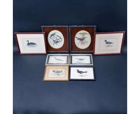Collection of Eight (8) Vintage Framed Bird Prints. Unsigned. Toning, foxing. Largest frame measures 13" x 11". Shipping: Thi