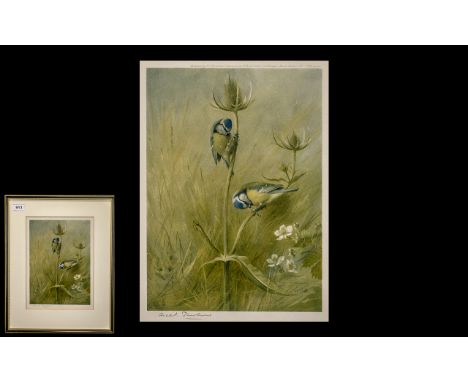 Archibald Thorburn Pencil Signed Print of ' Blue Tits '. Published by W.F.Embleton, Jermyn St, London. Copyright 1922. Framed